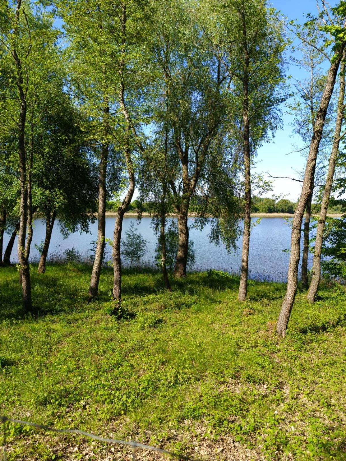 Swietna Chatka Swietne 外观 照片